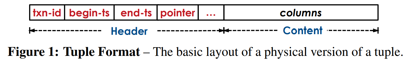 图1 元组格式——元组的一个物理版本的基本布局。